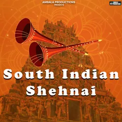 South Indian Shehnai